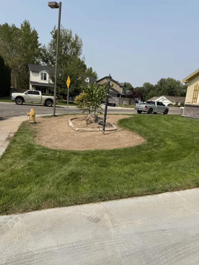 Curbed Front-Yard Tree Island