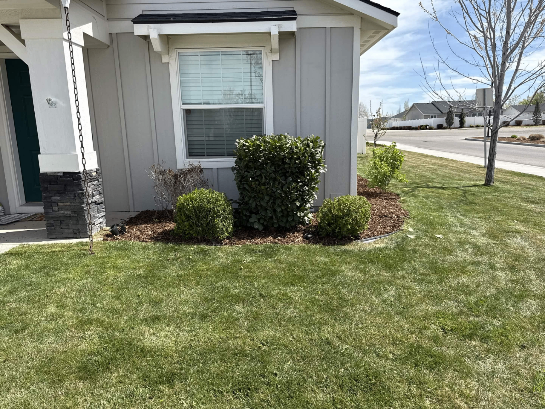 Front Yard Shrubs & Mulch