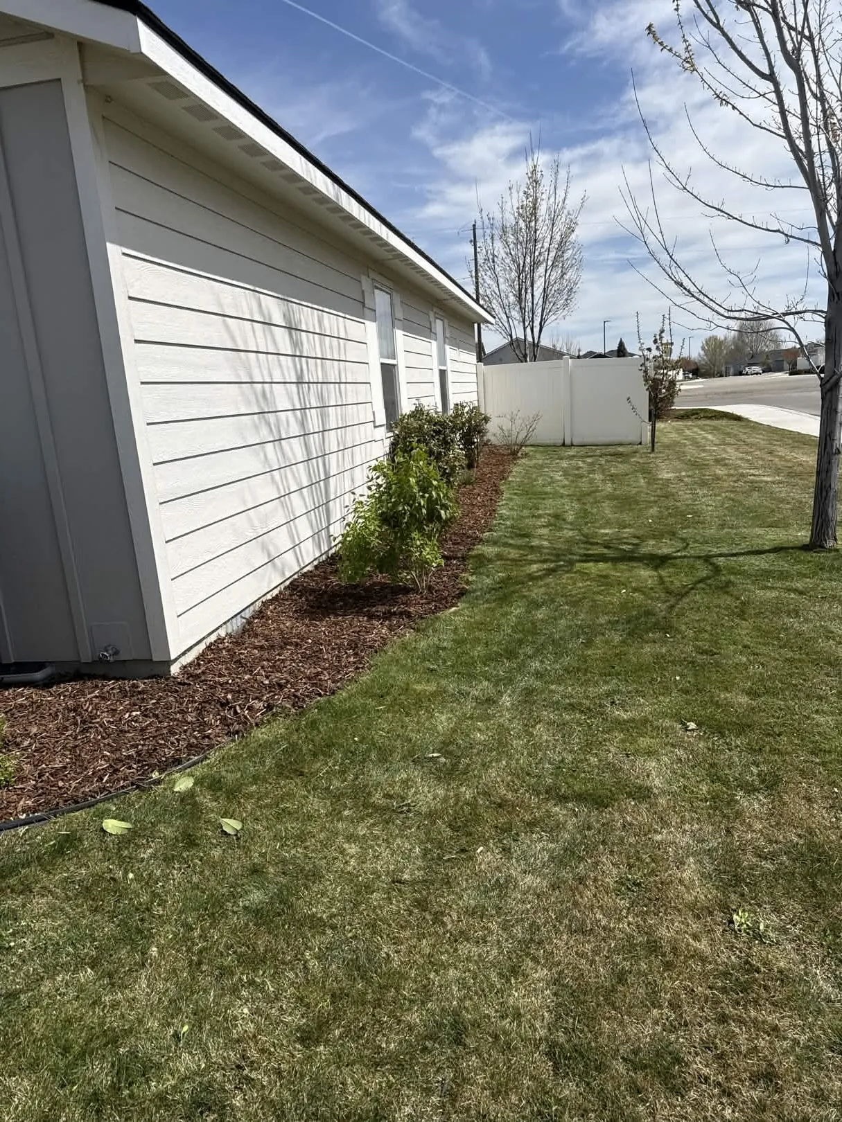 Lawn Maintenance