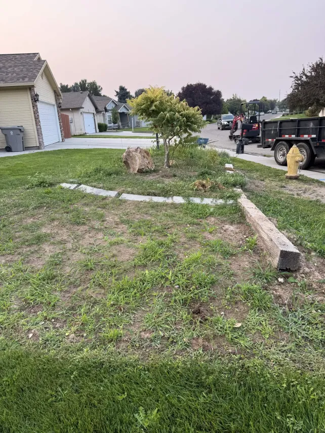 Tree Planting & Front Yard Prep