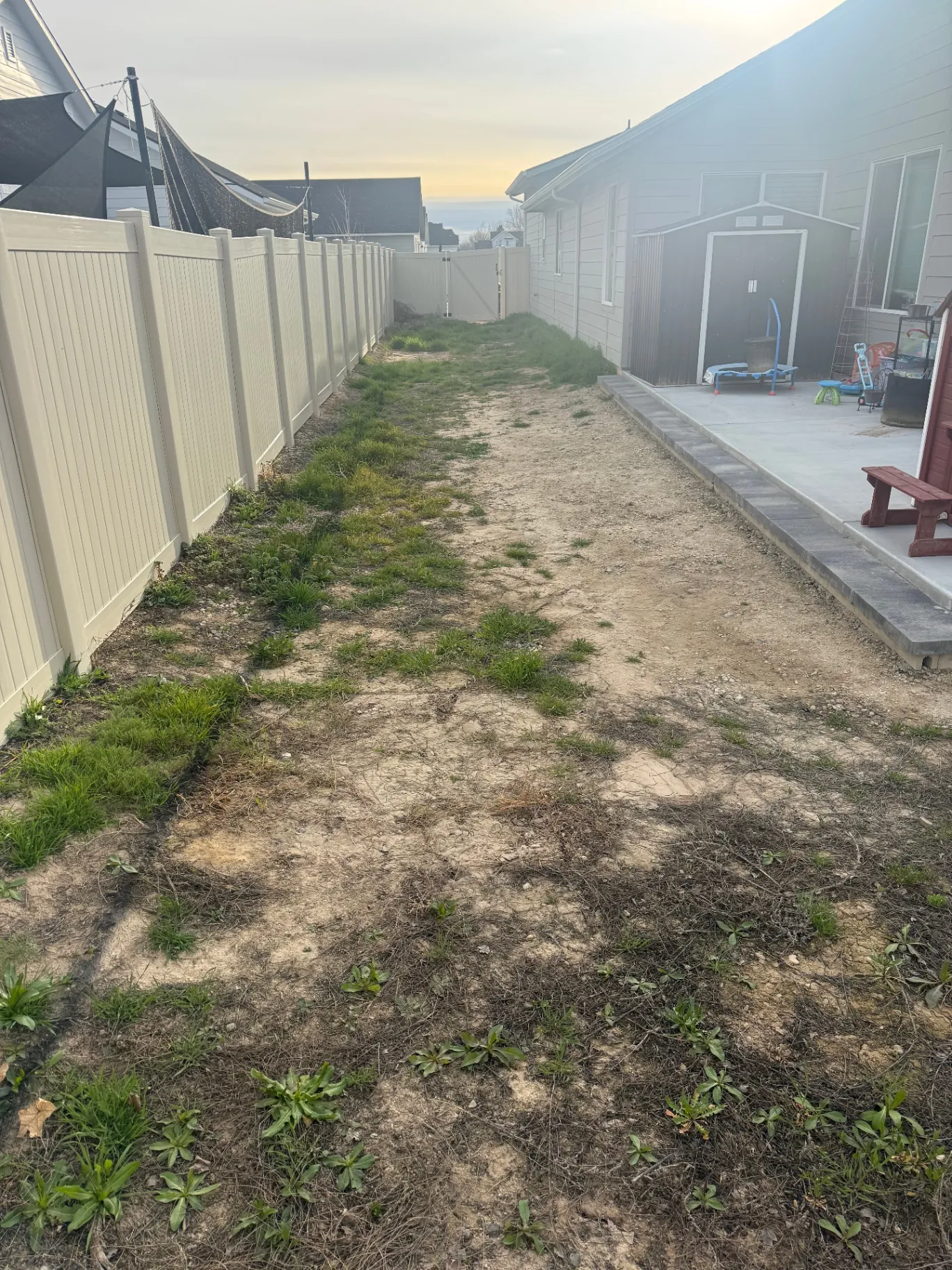 Side Yard Before